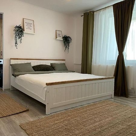 Carol Apartament'S 티미쇼아라 외부 사진