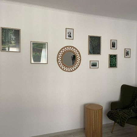 Carol Apartament'S 티미쇼아라 외부 사진
