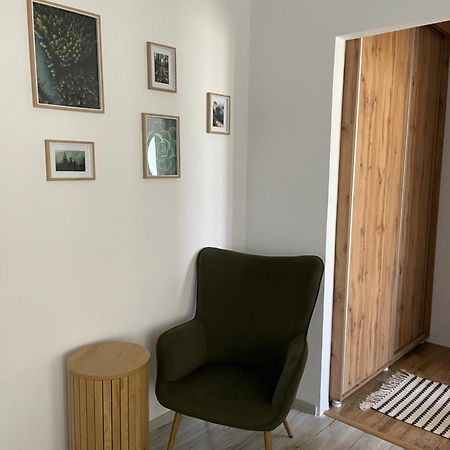 Carol Apartament'S 티미쇼아라 외부 사진