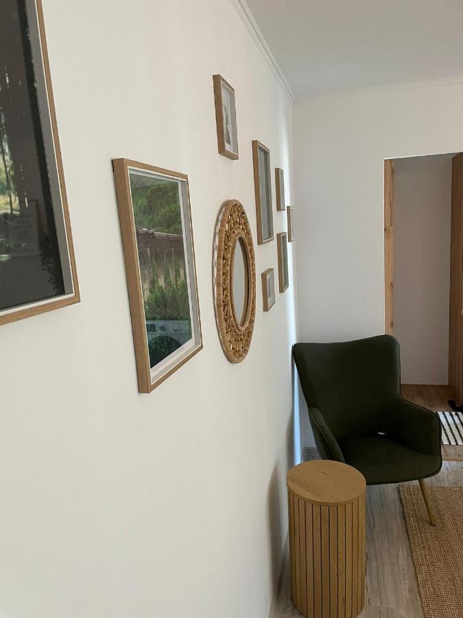 Carol Apartament'S 티미쇼아라 외부 사진