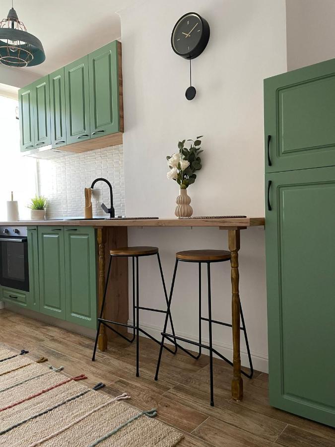 Carol Apartament'S 티미쇼아라 외부 사진