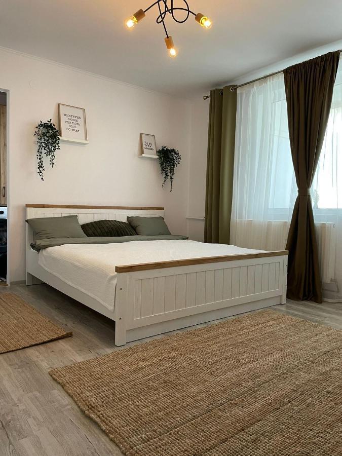 Carol Apartament'S 티미쇼아라 외부 사진