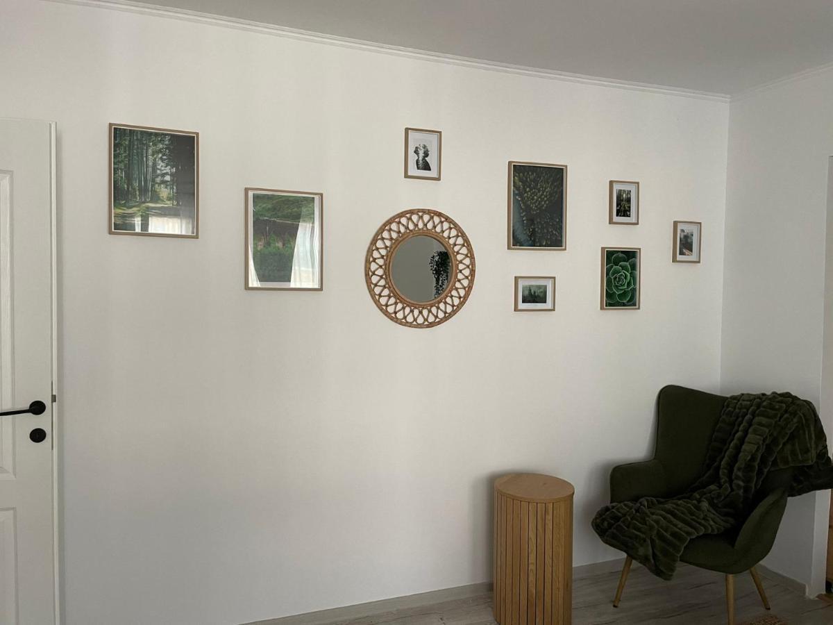 Carol Apartament'S 티미쇼아라 외부 사진